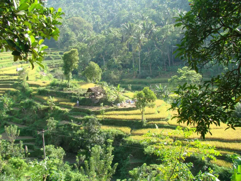 Des charmes de Bali au volcan de Java Visuel 5