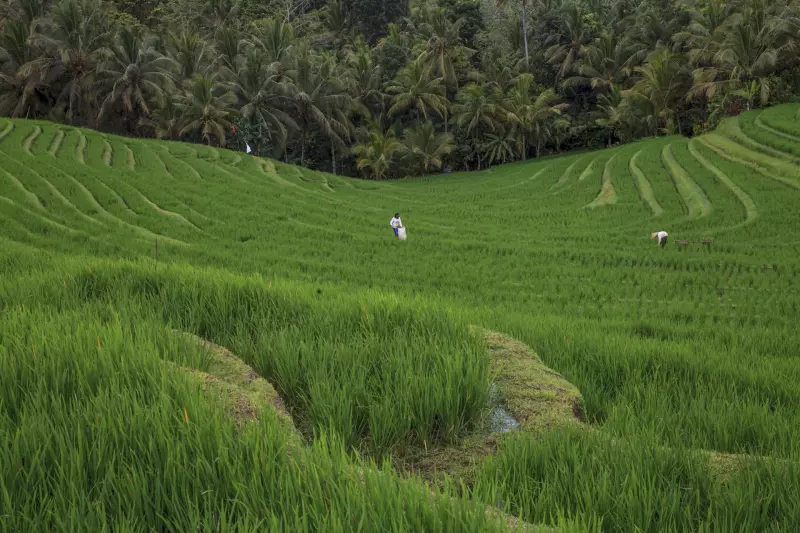 Des charmes de Bali au volcan de Java Visuel 13