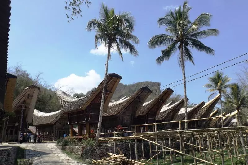 Sulawesi, immersion en pays Toraja Visuel 7