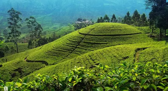 Bali, L&#039;île bénie des dieux