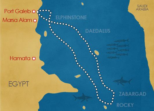 Croisière à  la découverte des îles du sud : Deadalus, Rocky, Zabargad, Elphinstone