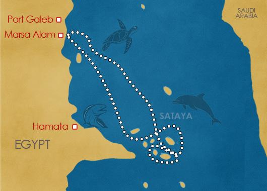 Croisière Fury Shoal : la découverte accessible des trésors sous-marins égyptiens