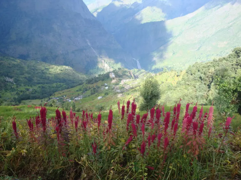 Le tour du Manaslu Visuel 5