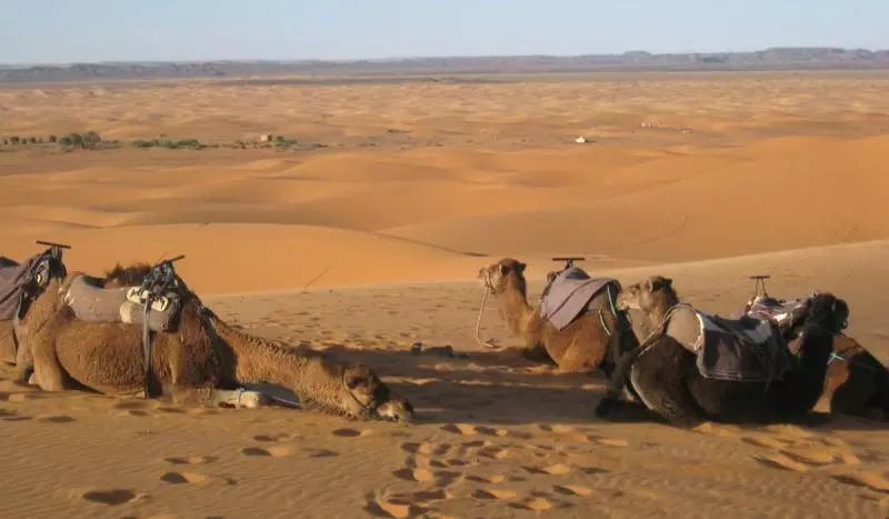 Trek dans les dunes de Chegaga Visuel 5