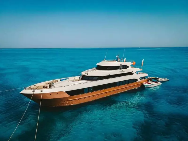 Croisière Le Grand Sud égyptien : Rocky, Zabargad, St John's et Elphinstone Visuel 2