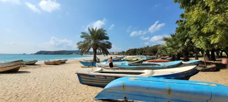 L'île resplendissante de la côte ouest à la côte est Visuel 8