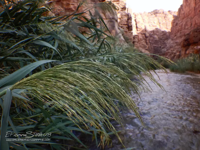Le paradis des canyons Visuel 2