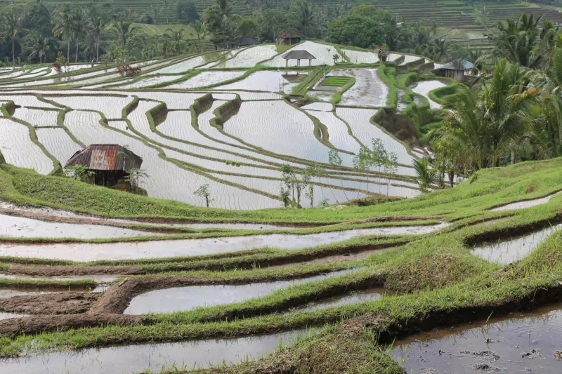 Bali, l'essentiel Visuel 8