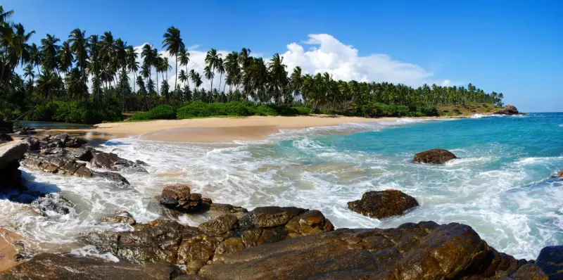 L'île resplendissante de la côte ouest à la côte est Visuel 12