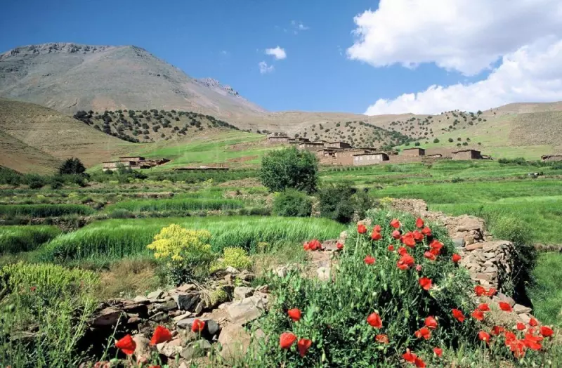 Autotour vers les villes impériales marocaines Visuel 5