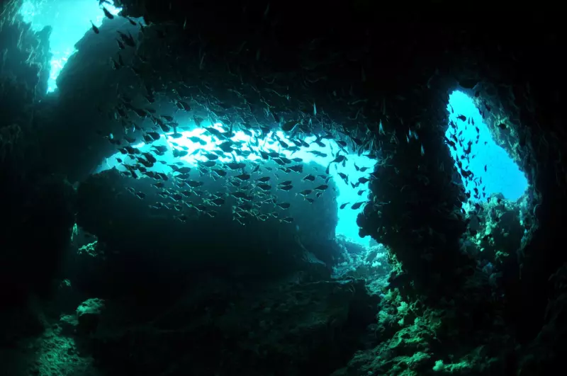 Croisière en Mer d'Andaman (22 plongées) Visuel 1