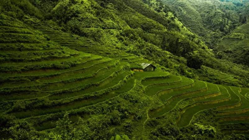 Aux confins du Vietnam Visuel 3