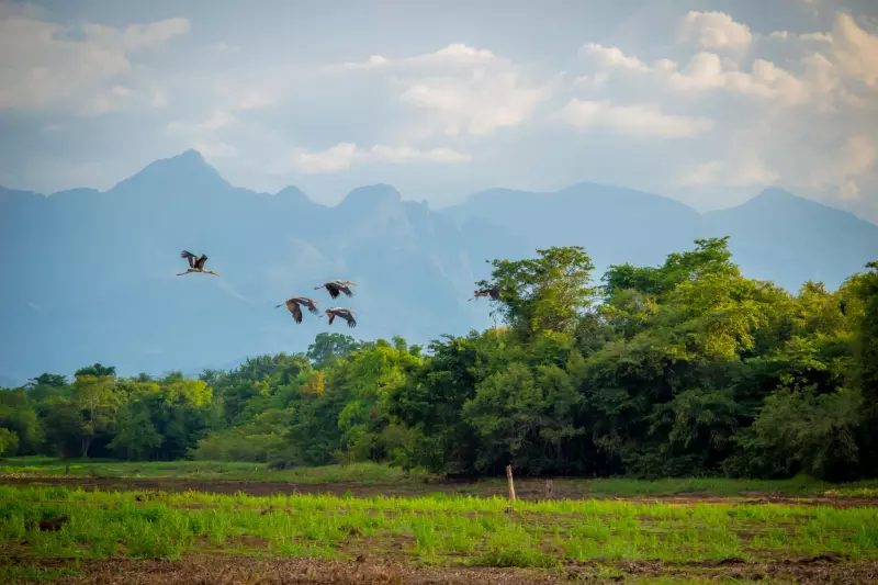 Sri Lanka, perle de l'océan indien ! Visuel 2