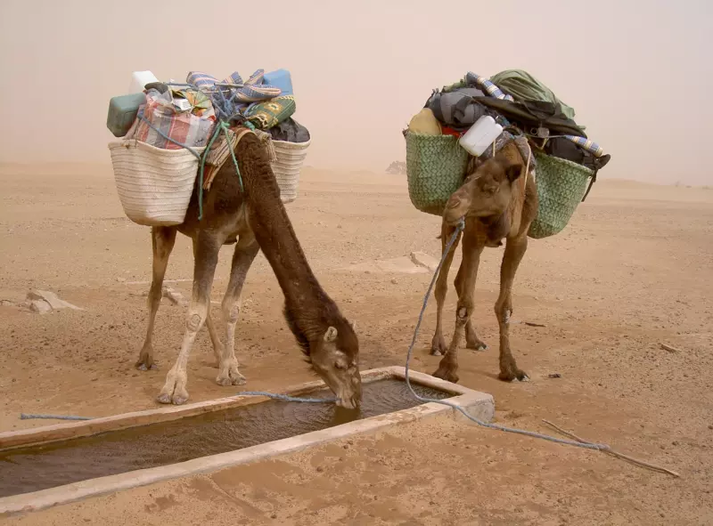 Trek dans les dunes de Chegaga Visuel 1