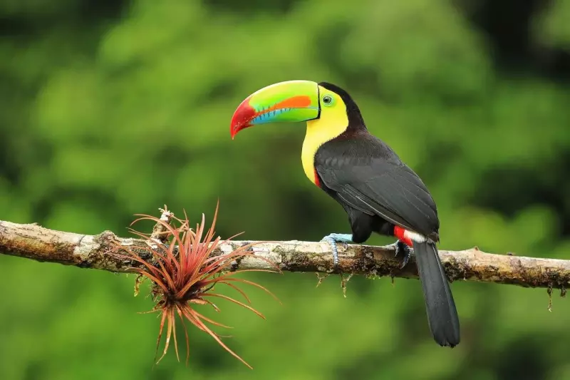 Découverte du Costa Rica en liberté Visuel 1