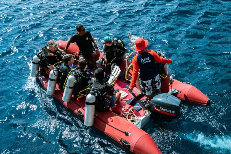 Croisière en Mer d'Andaman (22 plongées) Visuel 8