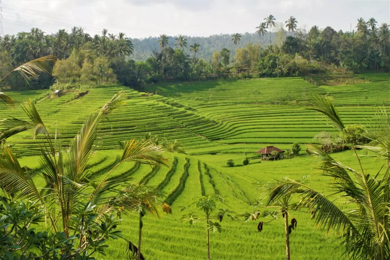 L'île de Java et Bali authentique Visuel 3