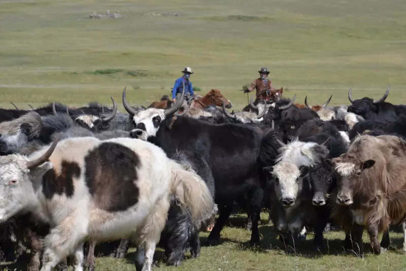 VTT en Mongolie Centrale Visuel 5