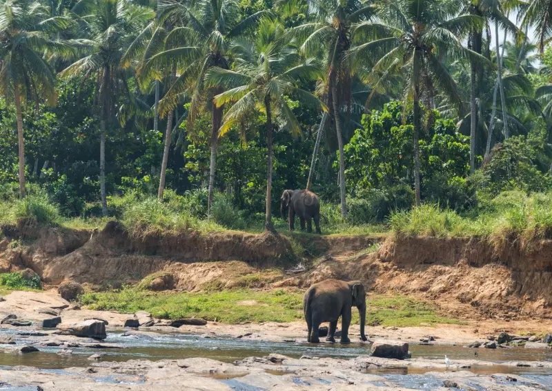 Grand Tour du Sri Lanka Visuel 2