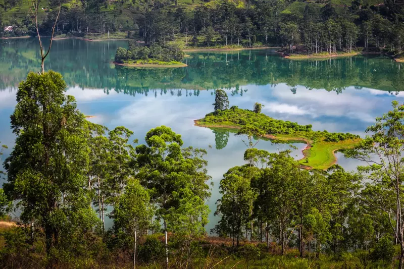L'île resplendissante de la côte ouest à la côte est Visuel 6
