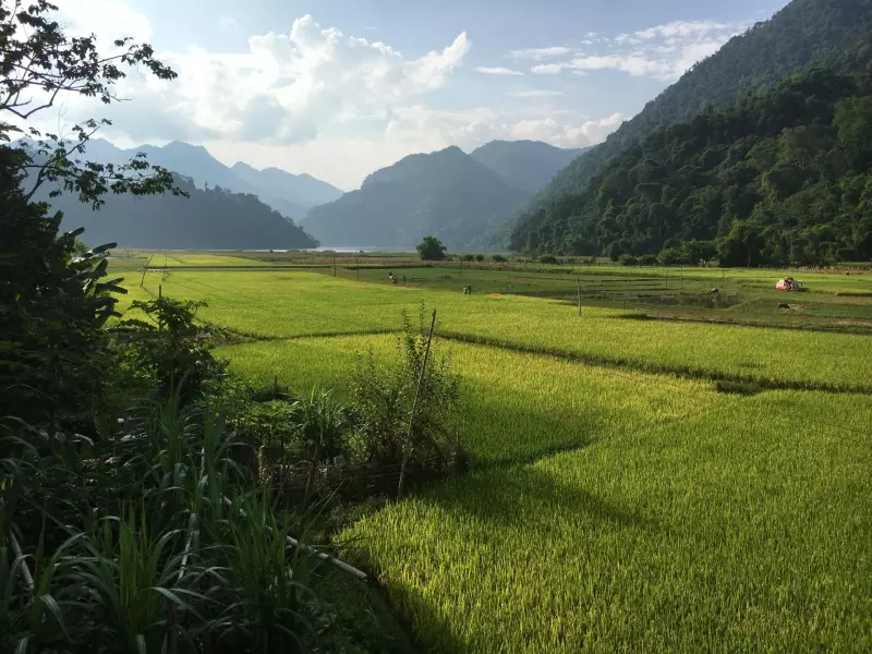 Découverte et immersion en pays Dao Visuel 1