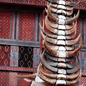 Sulawesi, immersion en pays Toraja Visuel 8