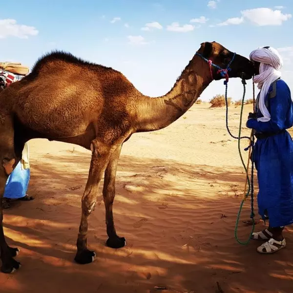 Ressourcement et bien être dans le désert marocain Visuel 6