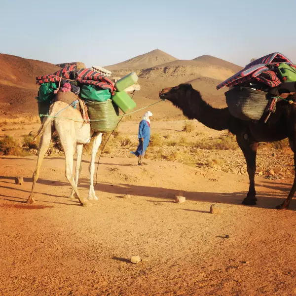 Ressourcement et bien être dans le désert marocain Visuel 9