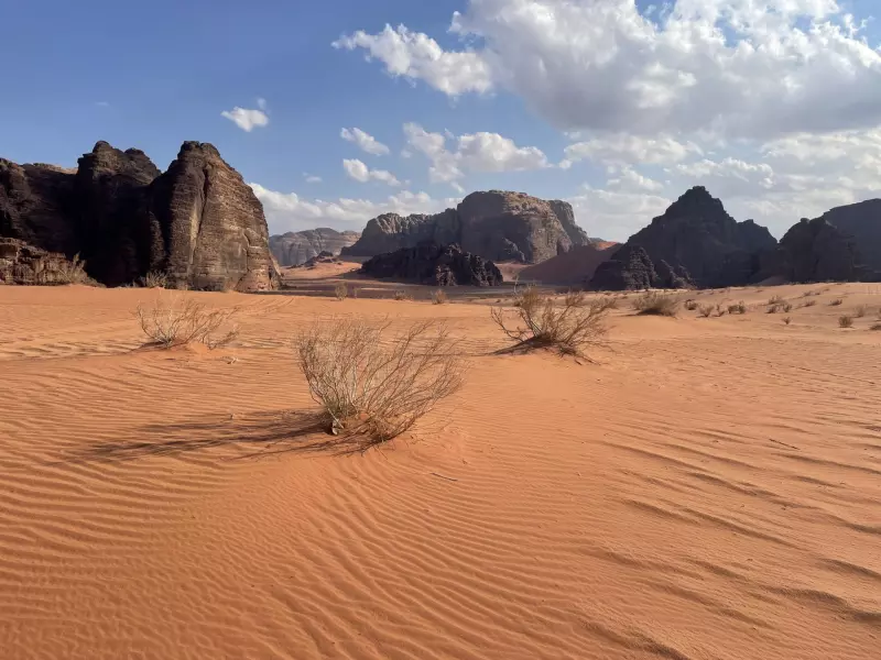 Immersion Jordanienne Visuel 16