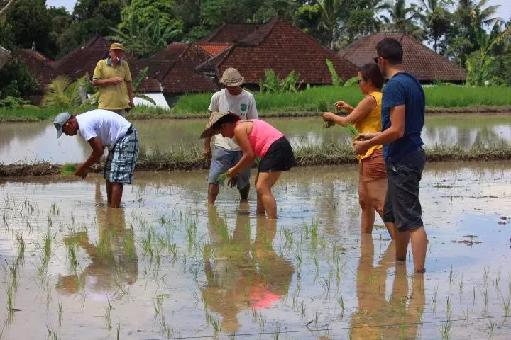 Bali, l'essentiel Visuel 10