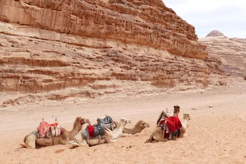 Immersion Jordanienne Visuel 8
