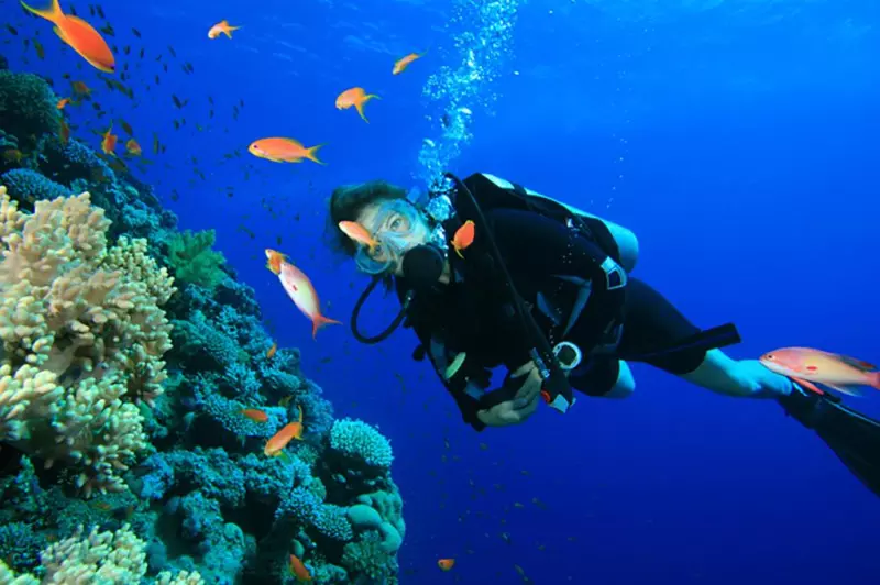 Plongée au Paradis Java/ Karimunjawa Visuel 5