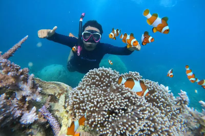 Plongée au Paradis Java/ Karimunjawa Visuel 6