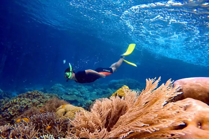 Plongée au Paradis Java/ Karimunjawa Visuel 9