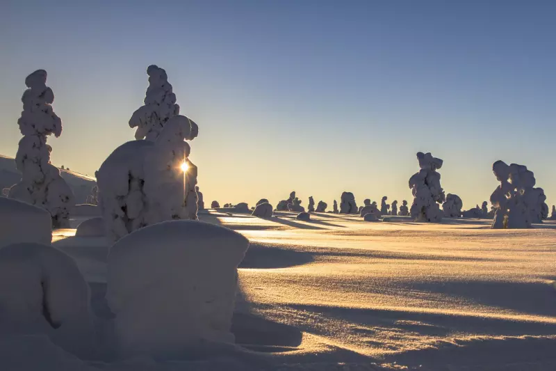 Sur la piste des trappeurs Visuel 3