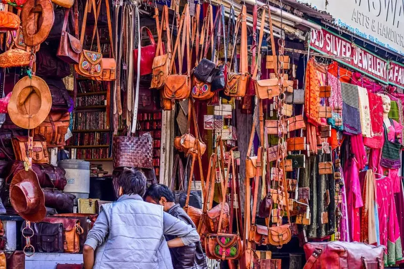 L’Inde du Nord : Spéciale fête des couleurs Visuel 4
