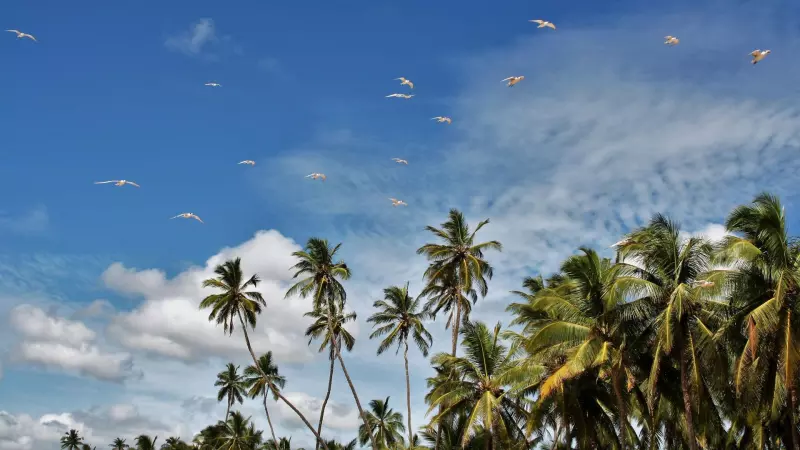Sri Lanka, perle de l'océan indien ! Visuel 6