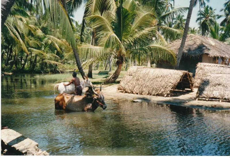Voyage solidaire en Inde du Sud Visuel 1