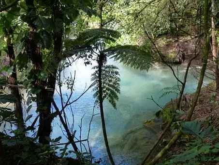 La Pura Vida au Costa Rica et Yoga Visuel 7