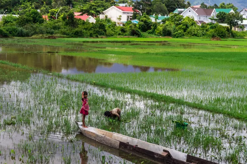Découverte et immersion en pays Dao Visuel 2