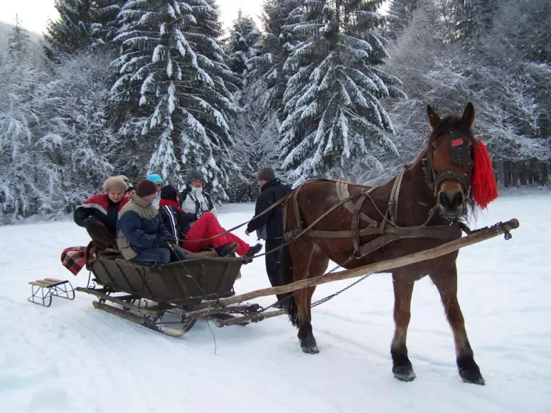 Fêtes de fin d'année ou Pâques orthodoxe en Bucovine et Maramures Visuel 1