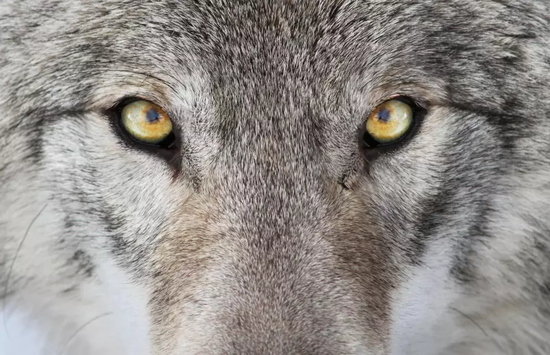 La Finlande : grandeur nature ! Visuel 1