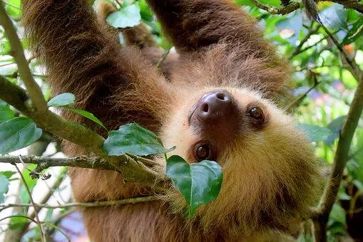 La Pura Vida au Costa Rica et Yoga Visuel 8