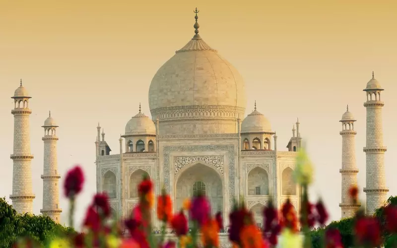 Méditation et Yoga en Inde du Nord Visuel 2