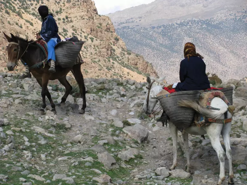 Trek dans la vallée heureuse des Ait Bougmez Visuel 2