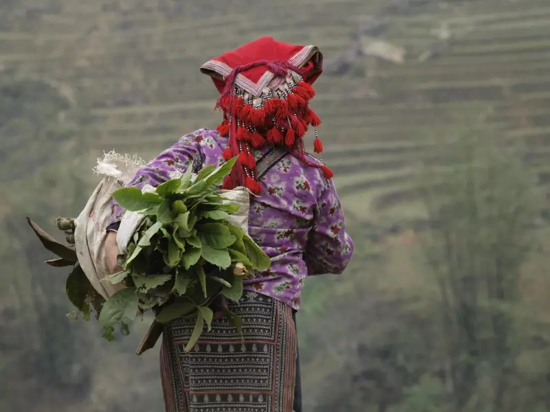 L'essentiel du Vietnam Visuel 3