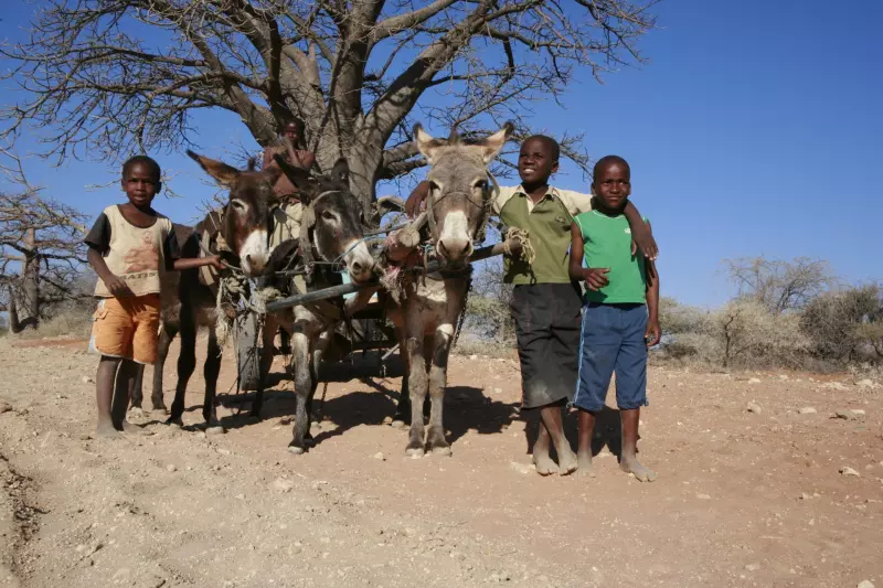 Autotour la traversée sud africaine Visuel 5